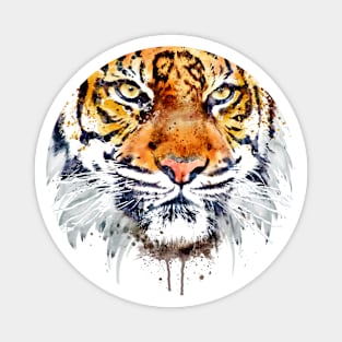 Tiger Face Close-up Magnet